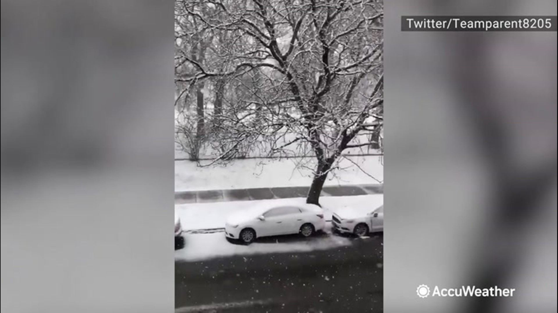 Don't tell winter it's mid-April. The ground in Chicago, Illinois, turned white on April 15, as snow blanketed the area.