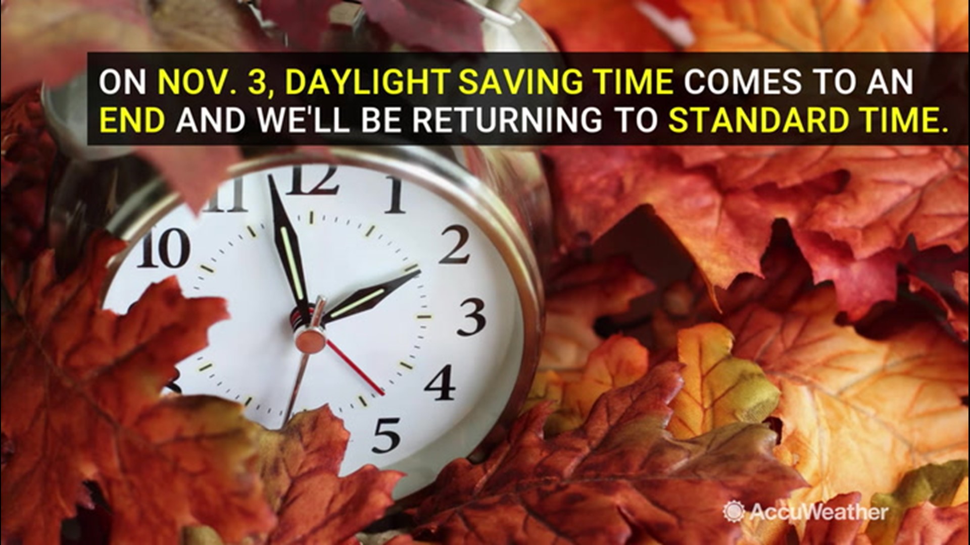 Fall back one hour as daylight saving time ends on Nov. 3