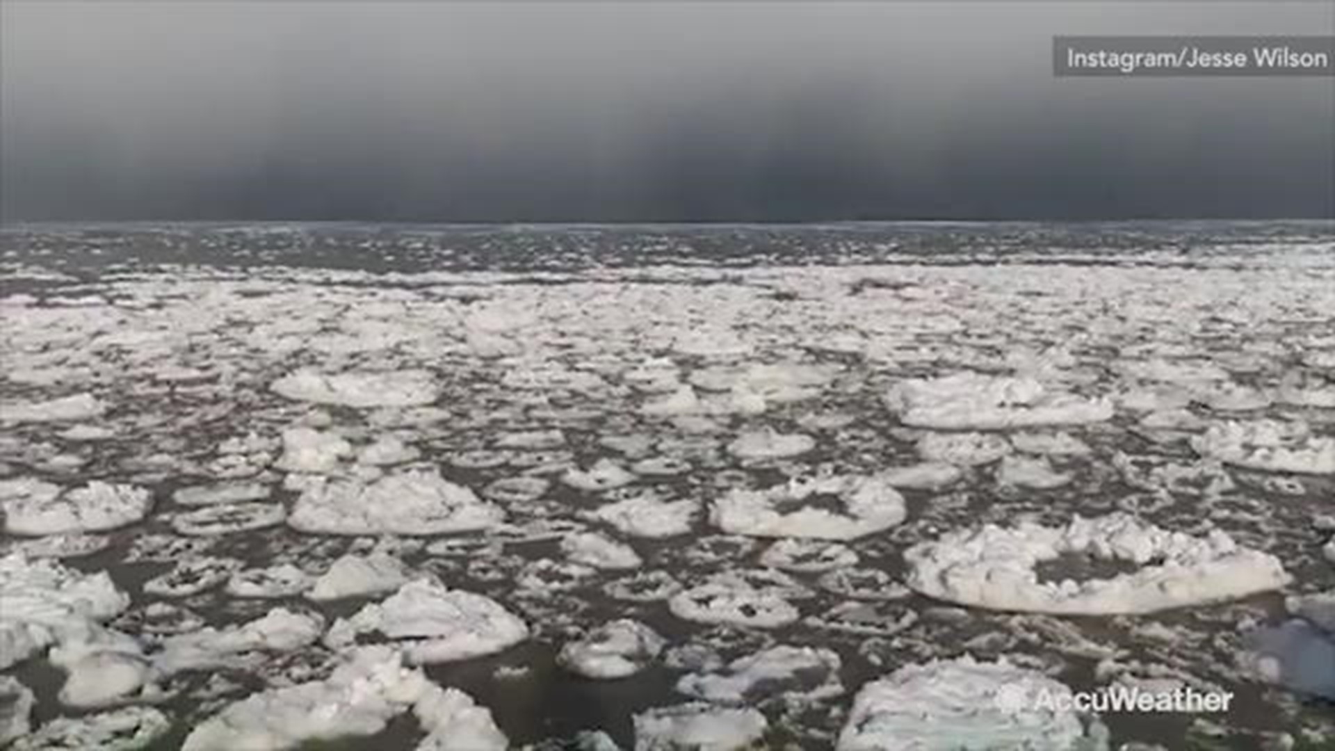 Watch these beautiful rings of ice float on top of Lake Erie