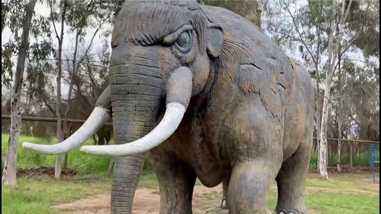 Chilean Archeologists Unearth 12,000 Year Old Remains of an Ancient Elephant