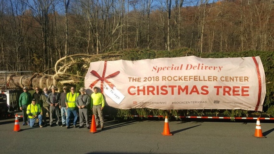 New York City's Rockefeller Center Christmas tree goes up | kare11.com