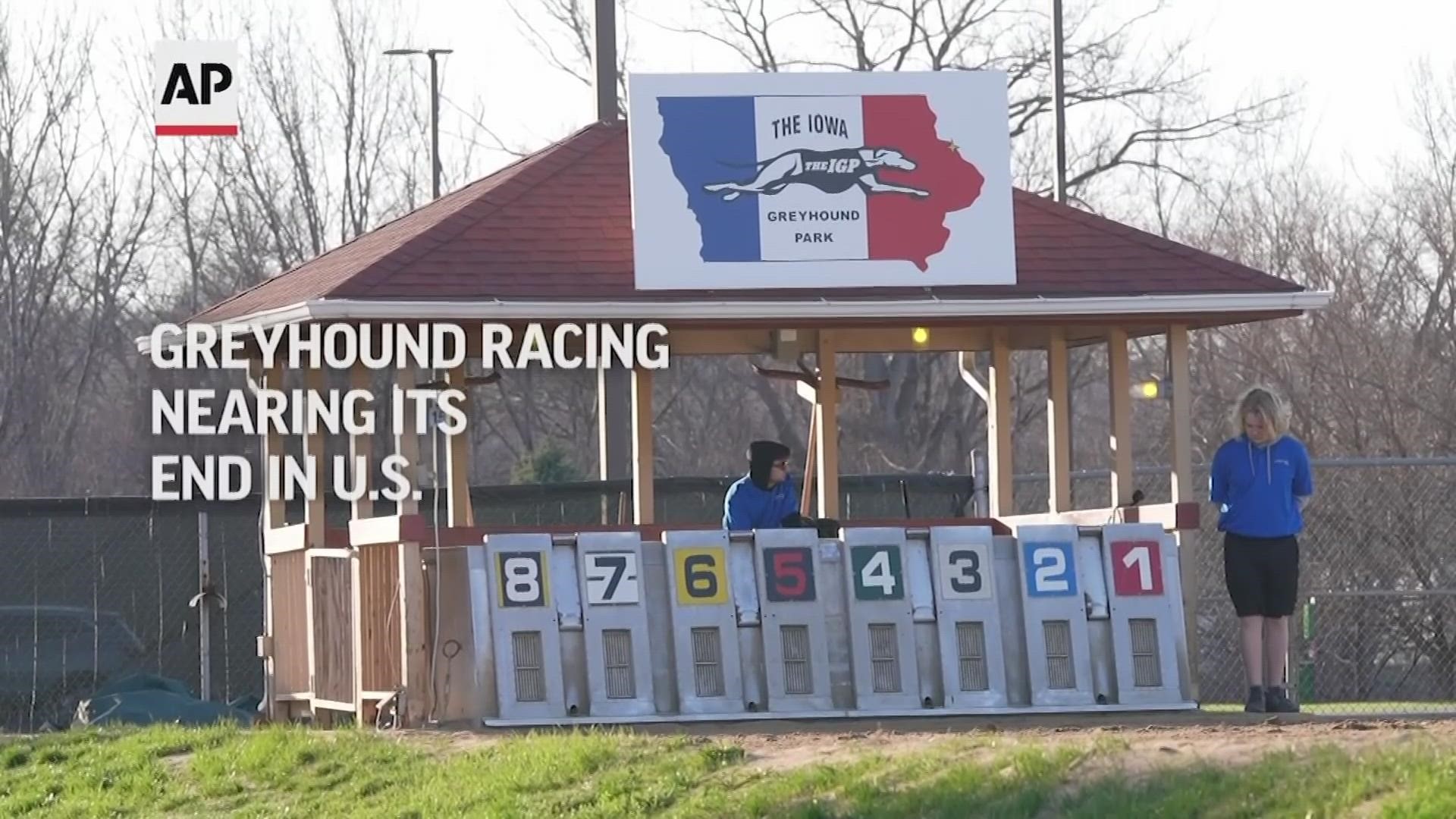 By the end of the year, there will only be two Greyhound racing tracks left in the country.