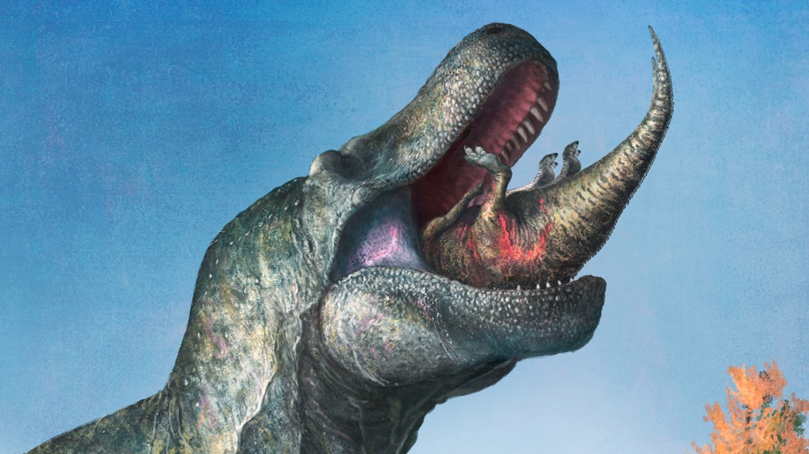 Did T. rex have lips? | kare11.com - Vimarsana News