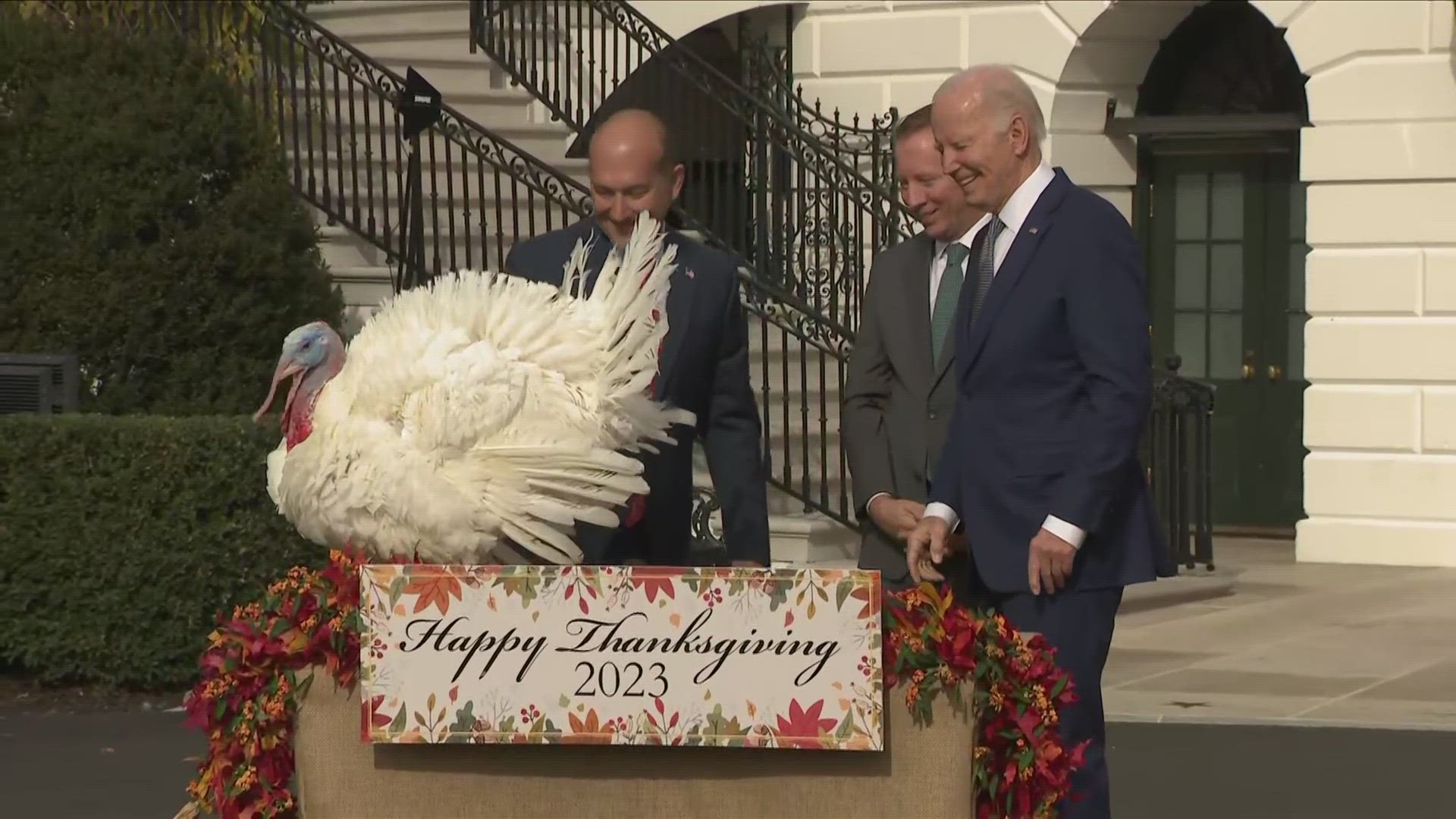 White House Turkey Pardon 2023: Liberty, Bell Ready For Pardons ...