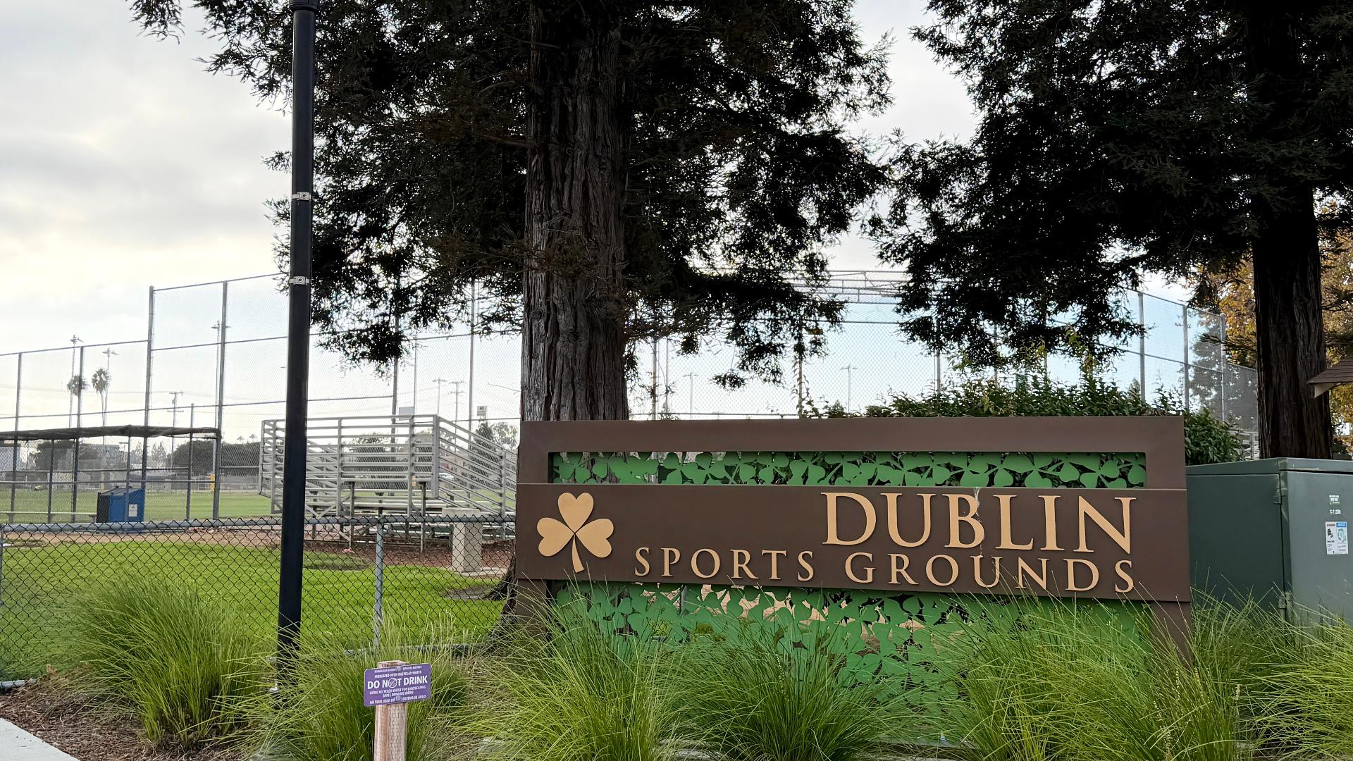 In-laws accused of killing NYT exec in public park charged with murder