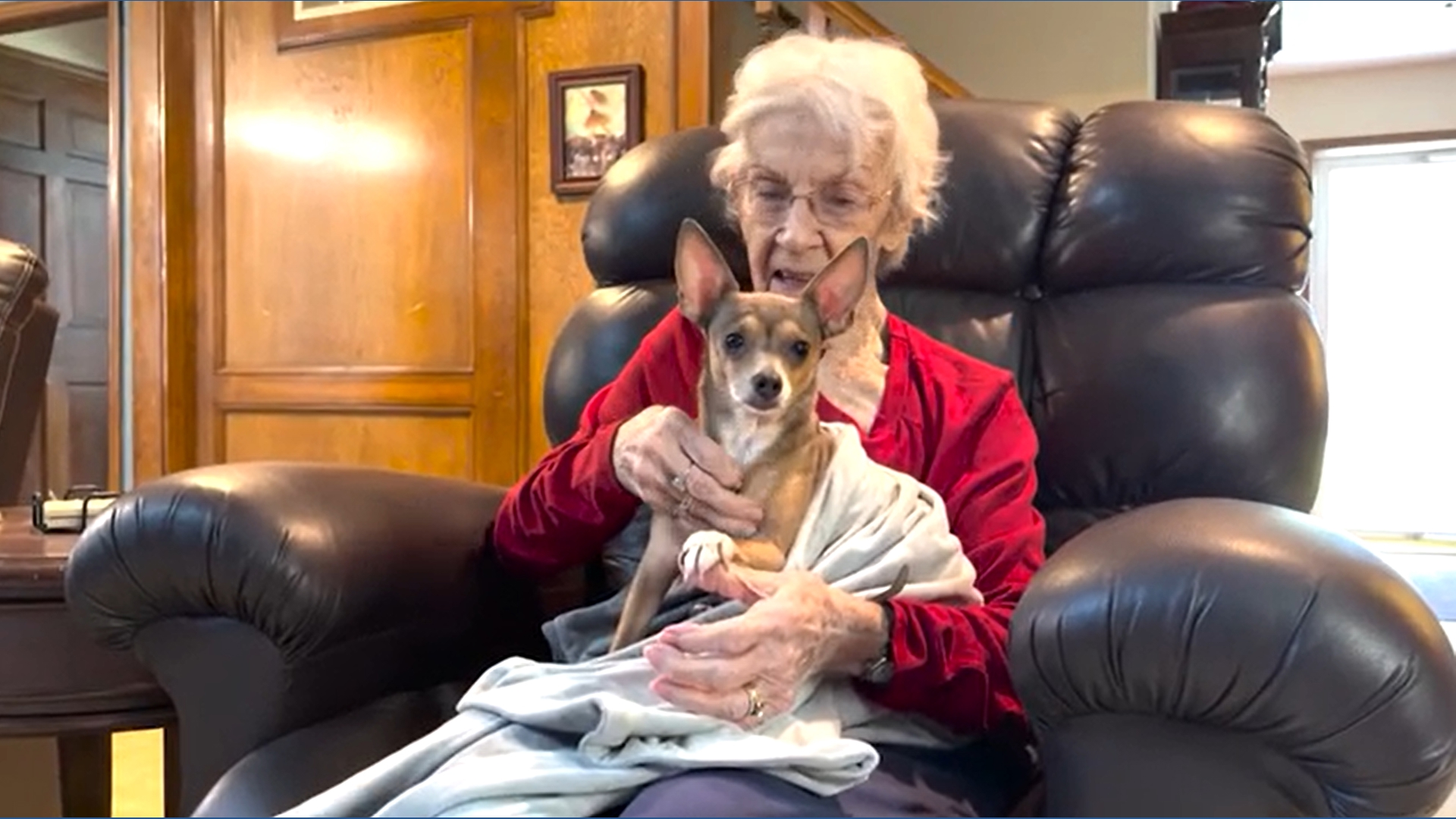 Blind Missouri woman finds perfect companion in newly adopted blind dog