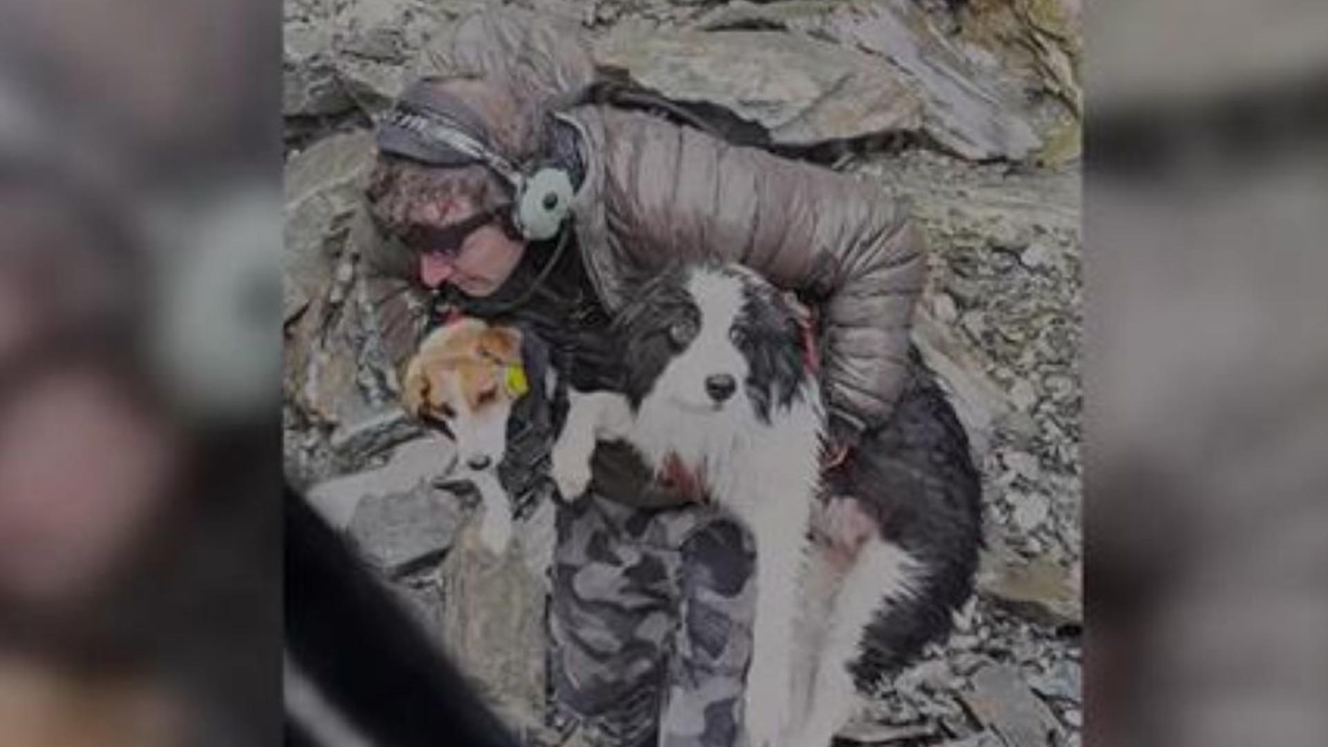 Helicopter pilot reunites hiker with lost dog week after 180-foot fall ...