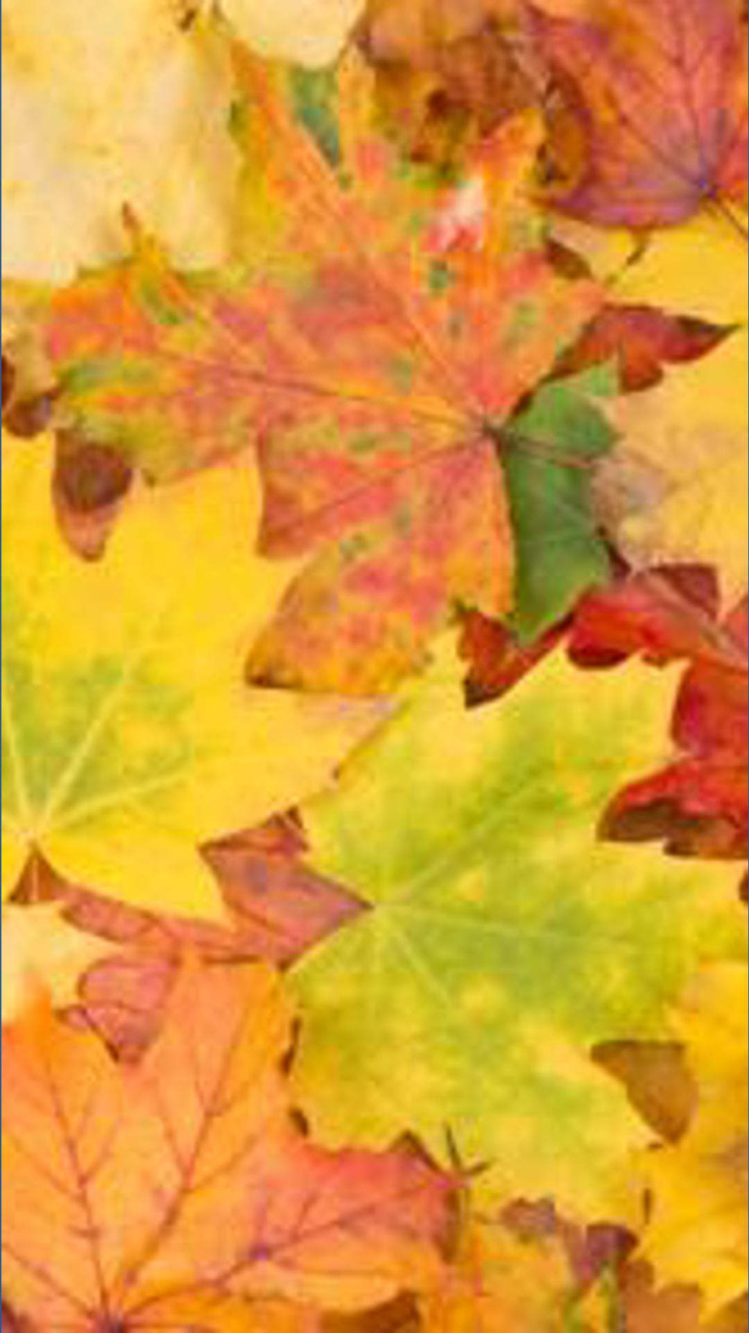 How persistent drought is impacting fall foliage colors across the United States