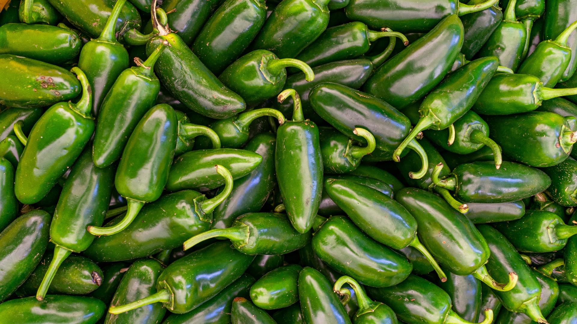 Salmonella outbreak linked to jalapenos grows to 32 states as more than 400 illnesses reported, FDA says