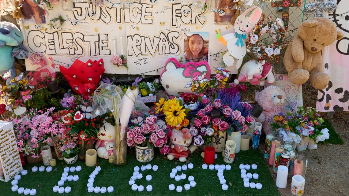 Teen who singer D4vd is accused of killing was pregnant and had ...