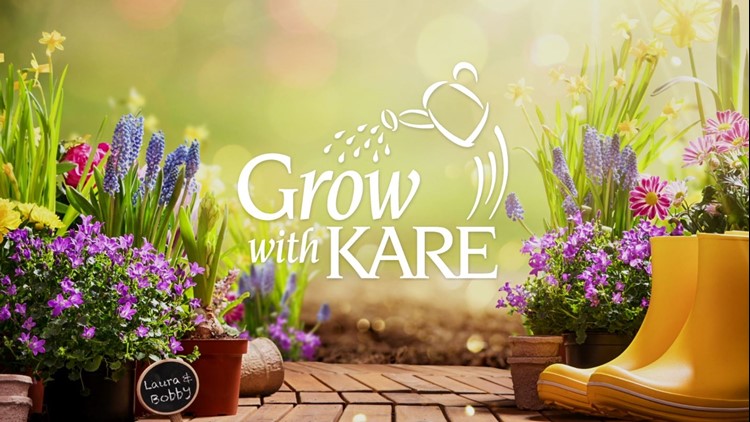 Grow with KARE: Tomato Tips