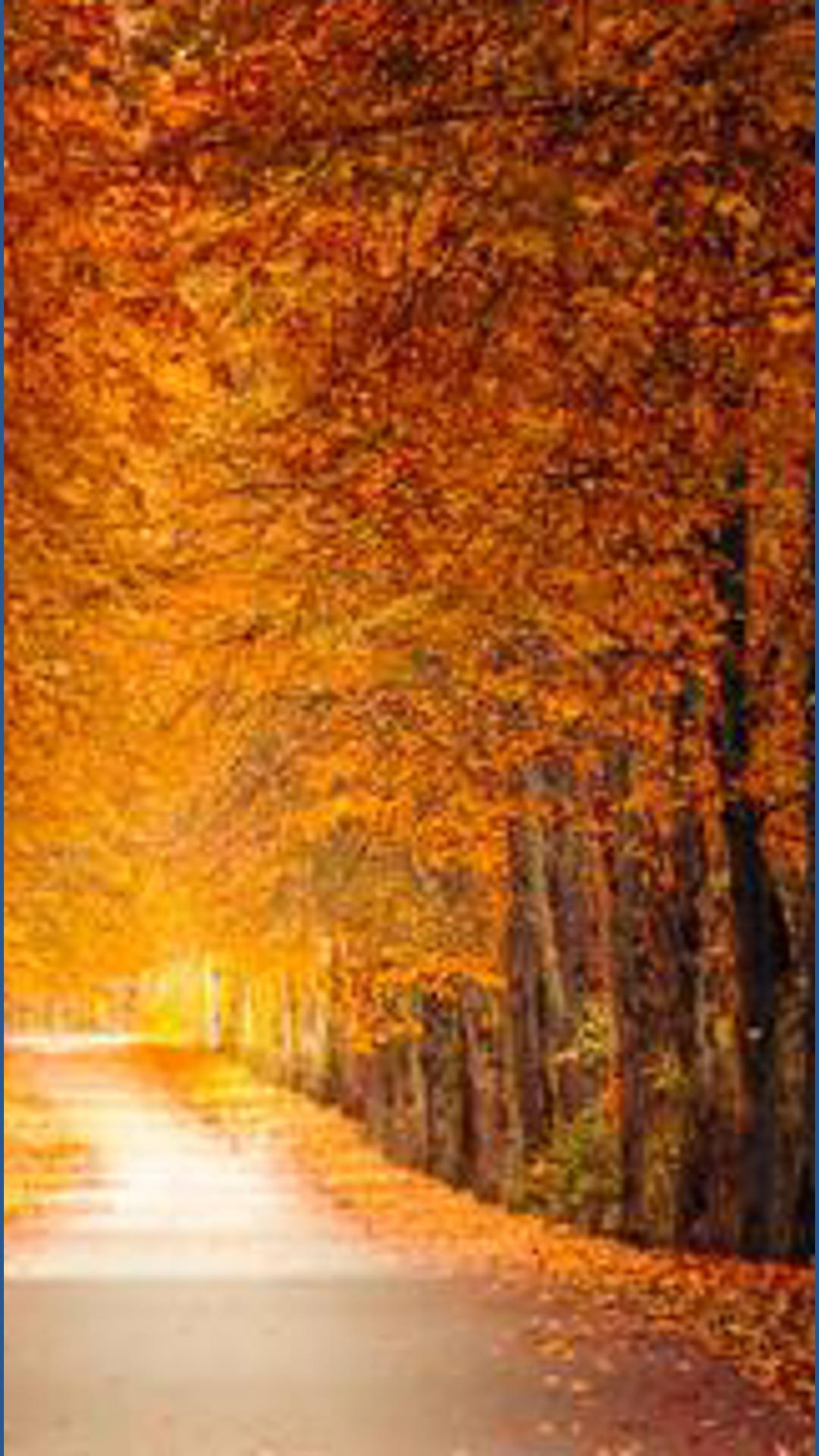 Weather IQ: What is the peak of fall foliage across the United States?