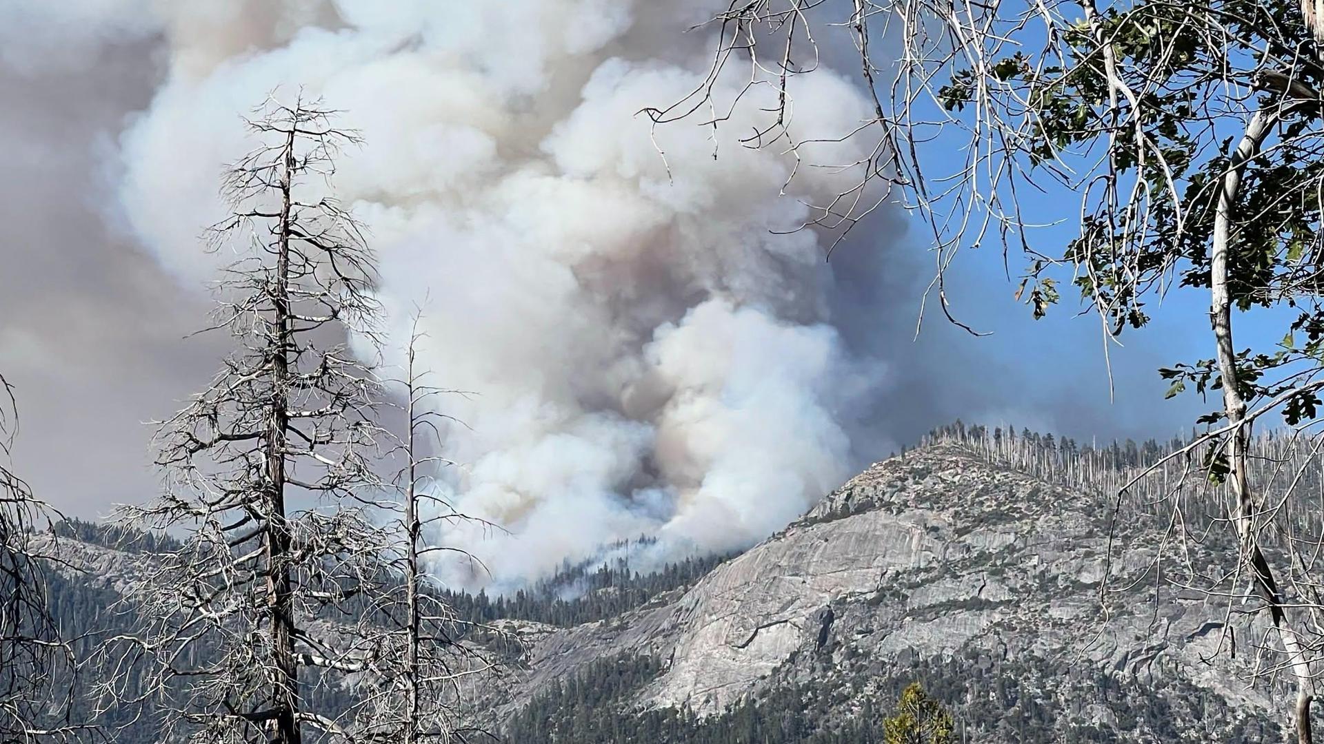 2 pilots killed in helicopter crash while battling Dome Fire at Yosemite National Park