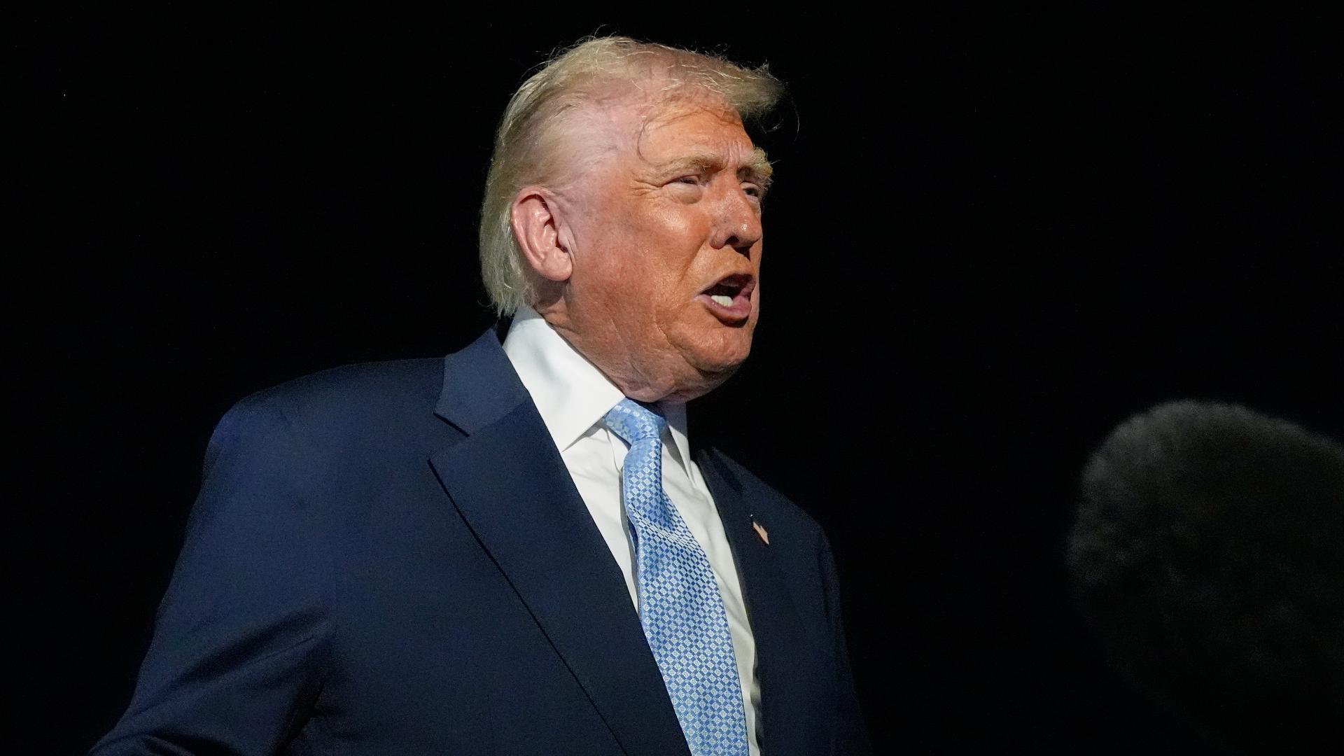 trump quiet piggy digvid