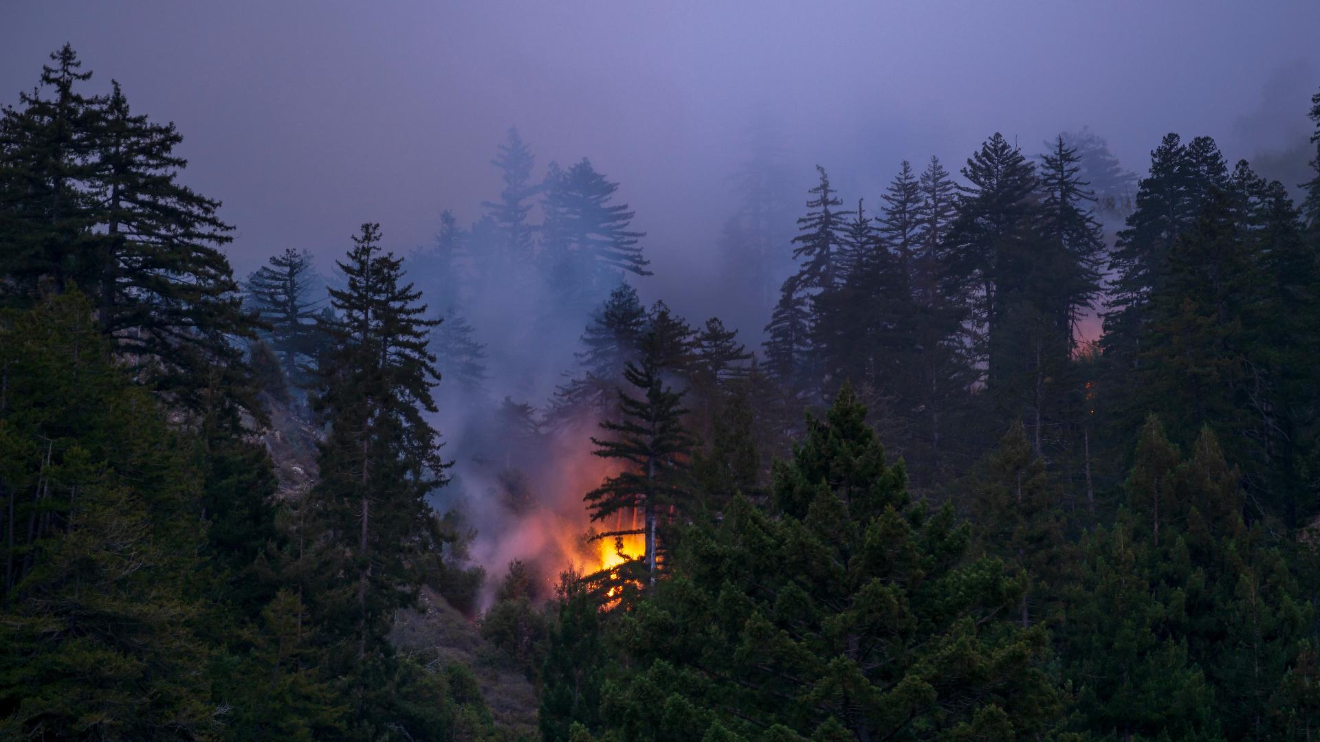 Senators urge end to online bets on wildfires