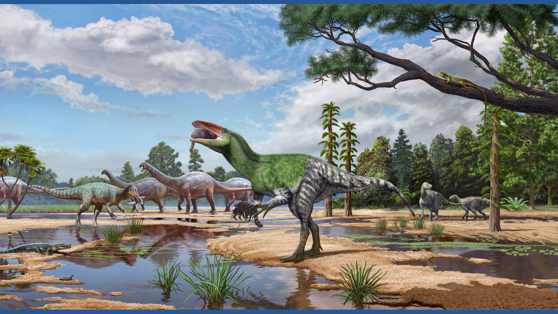 Meet Invictibellatrix, a new dinosaur species discovered in the UK