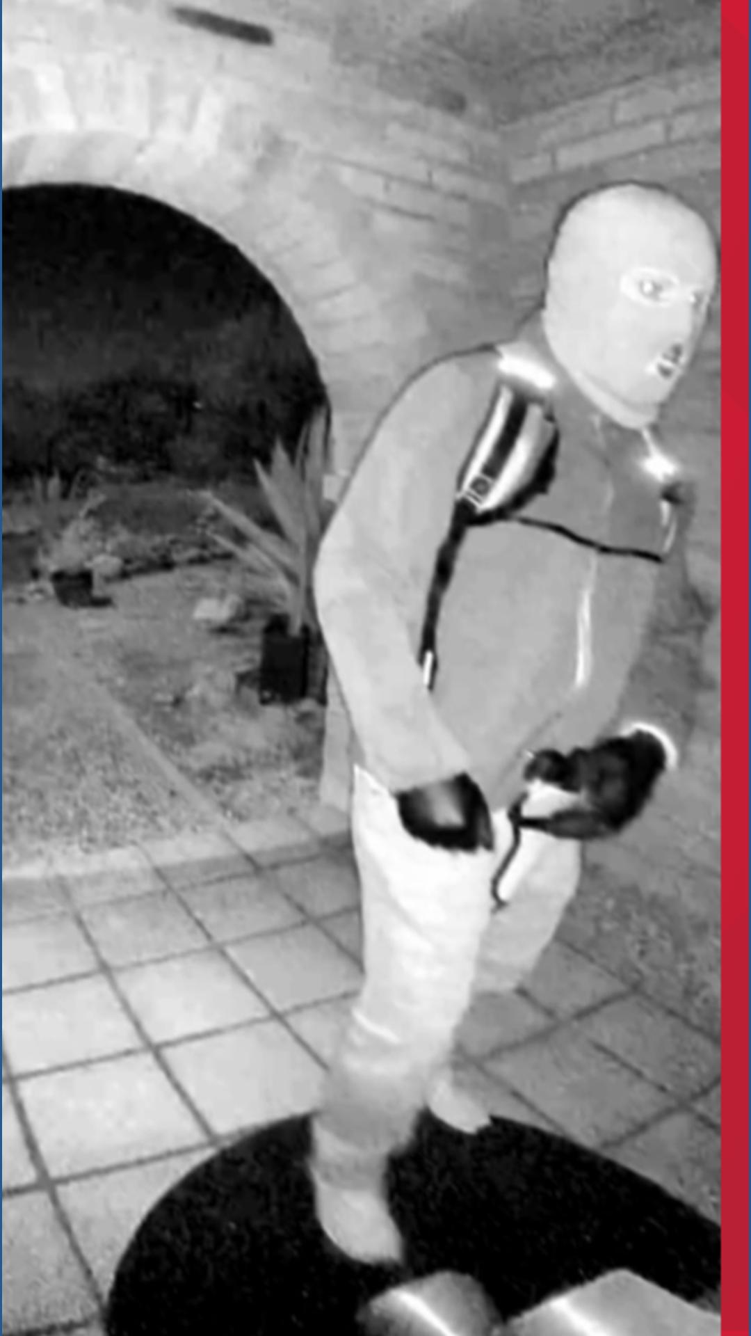 FBI releases photos of possible subject in Nancy Guthrie case