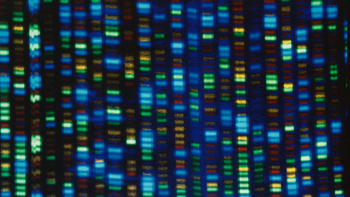 Human genome decoded fully | kare11.com - Vimarsana News
