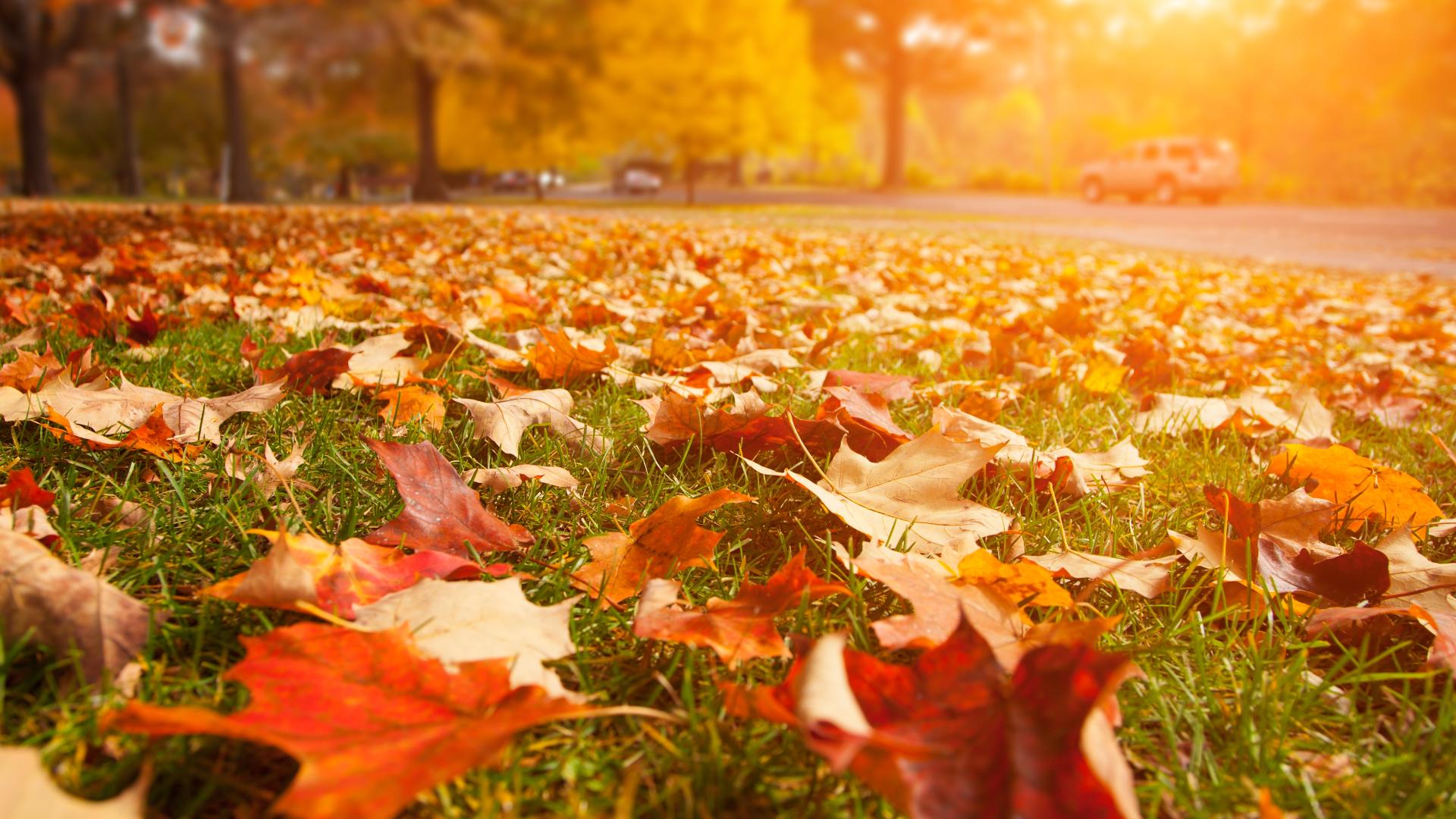 When is the first day of fall? Autumnal Equinox is almost here | kare11.com