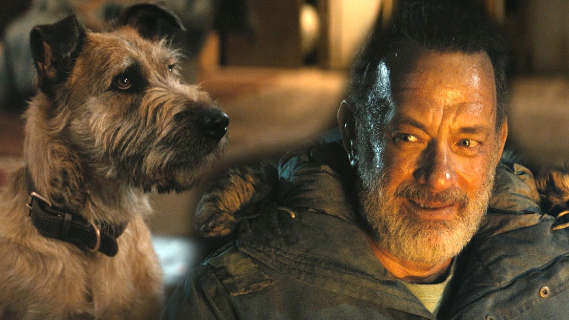 Tom Hanks Reflects on Having Only a Dog and a Robot as CoStars in