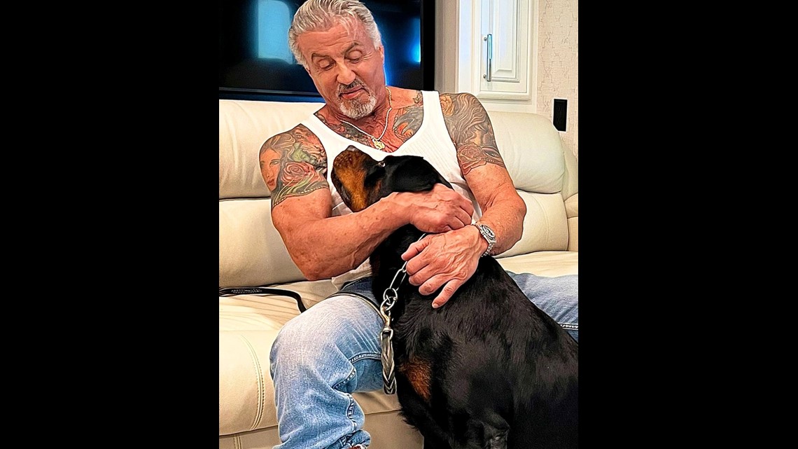 Sly Stallone, 66, adds to his body art collection at private appointment in  Hollywood | Daily Mail Online