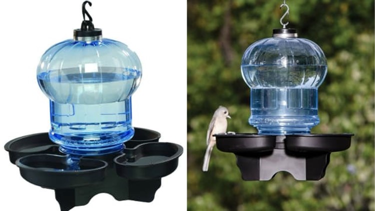 10 Popular Products That Will Attract Wildlife To Your Backyard