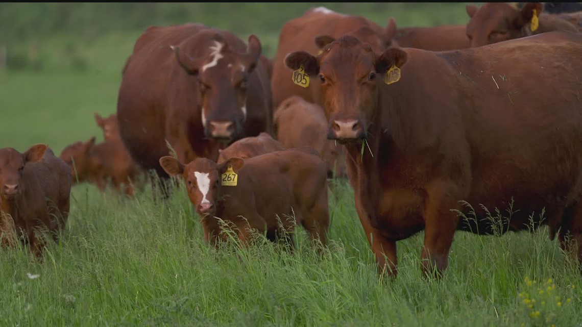 Rancher and researcher: The two unlikely friends - Vimarsana News