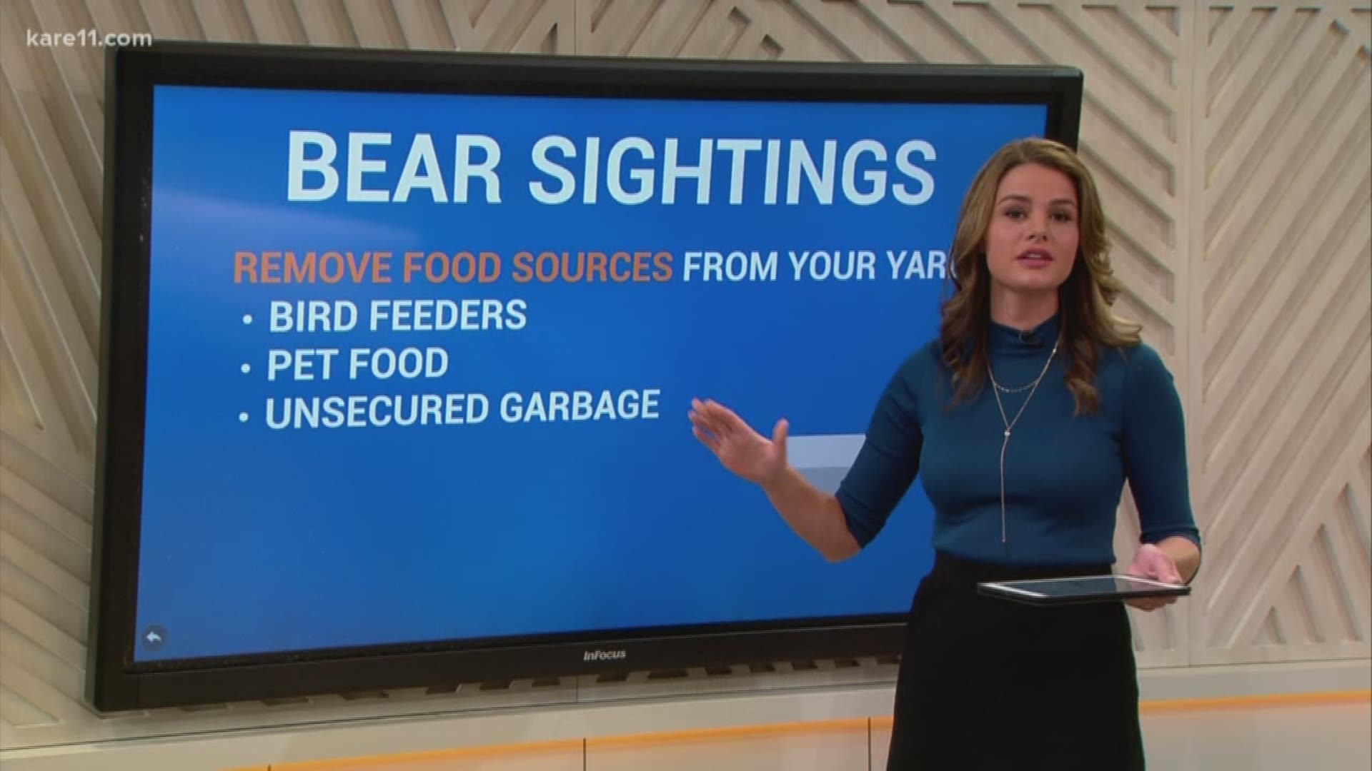 A bear sighting in Arden Hills got us thinking... what truly is the best way to respond if you come upon a wild beast in an urban area? https://kare11.tv/2HxlYaD