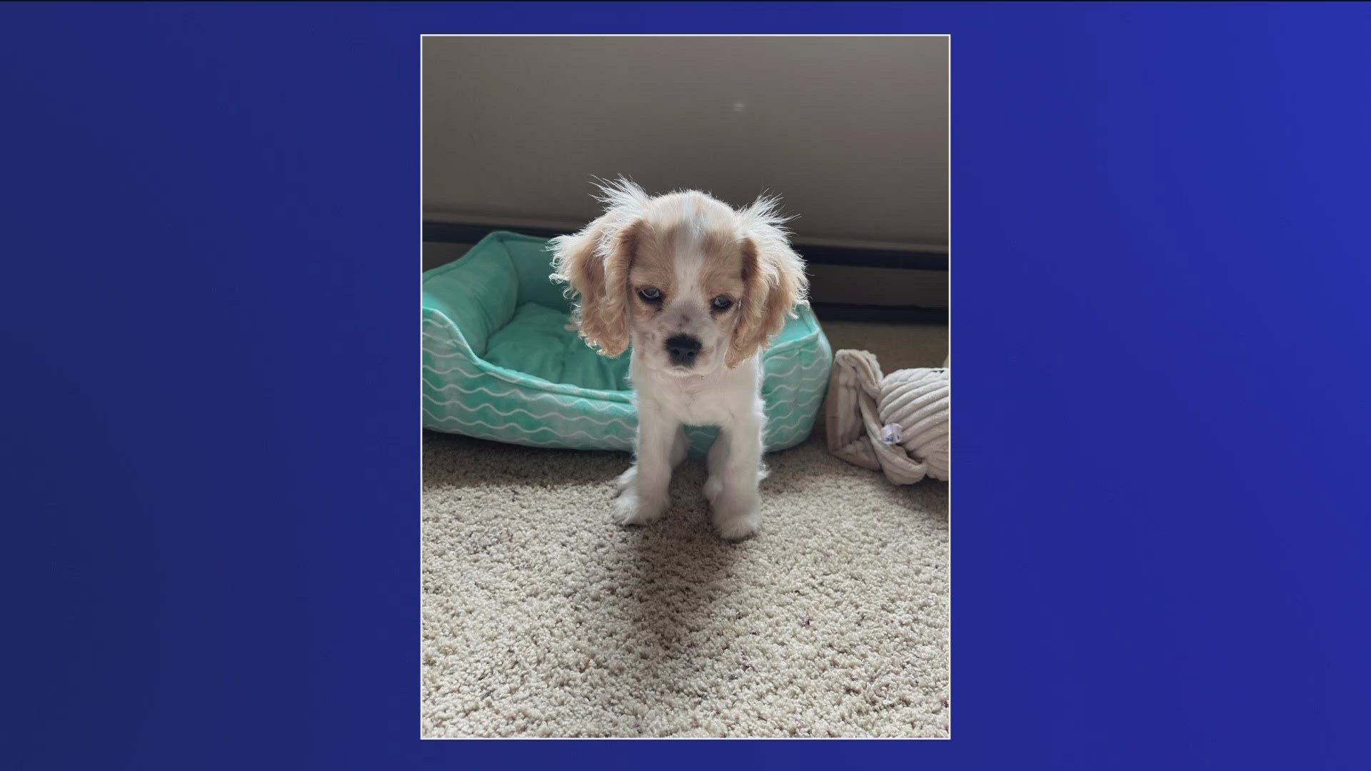 In Tuesday's YGN segment, viewers share photos and some nice stories! Submit your good news to us at yourgoodnews@kare11.com.
