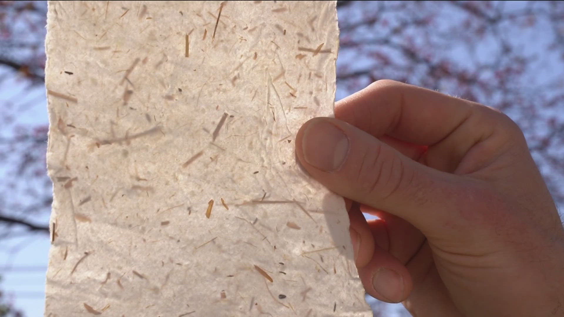 The Paper Plains is tearing up the notion that paper must come at nature's expense.