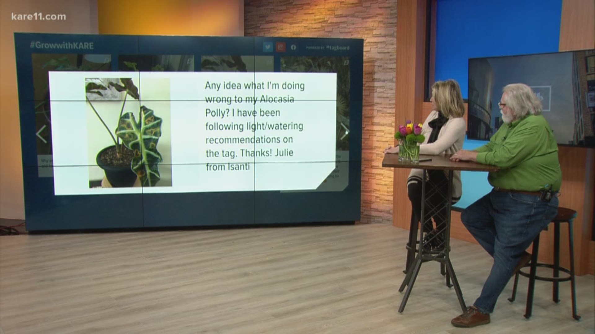 Belinda & Bob answer viewers gardening questions