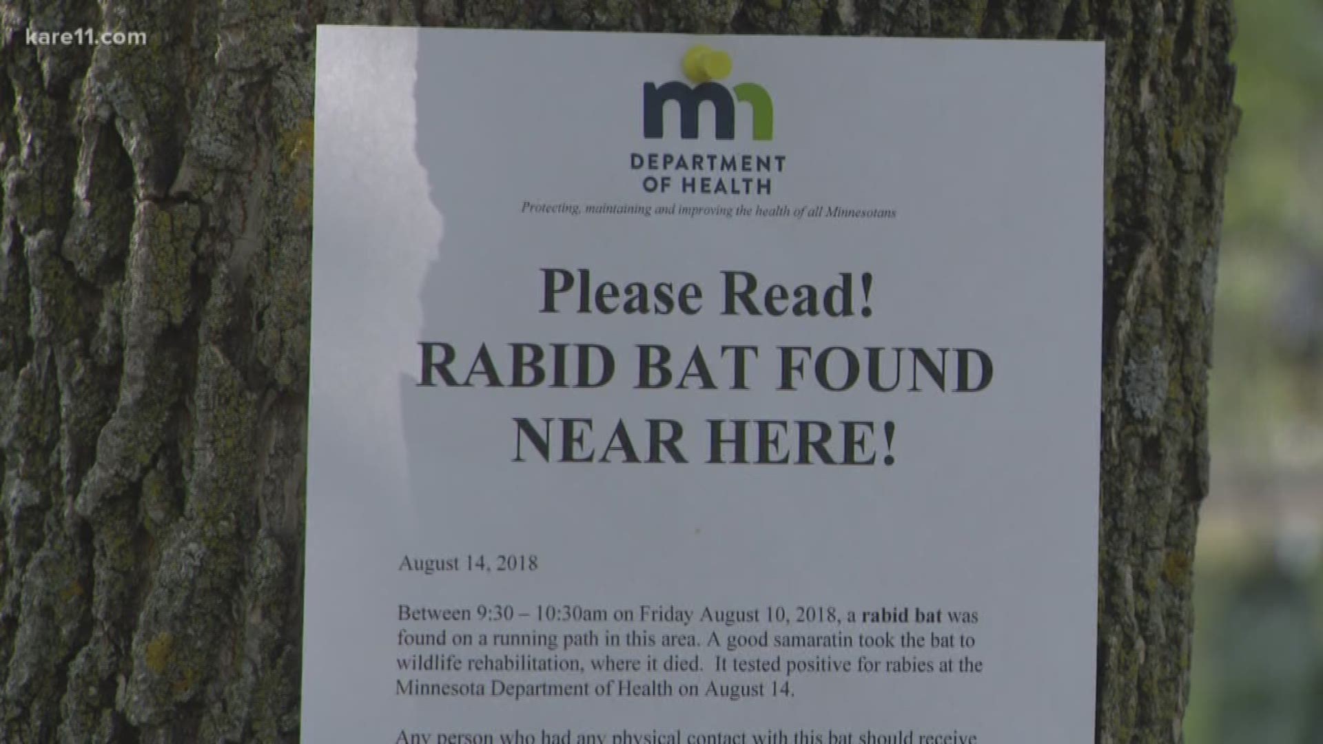 Rabid bat found at Lake Harriet