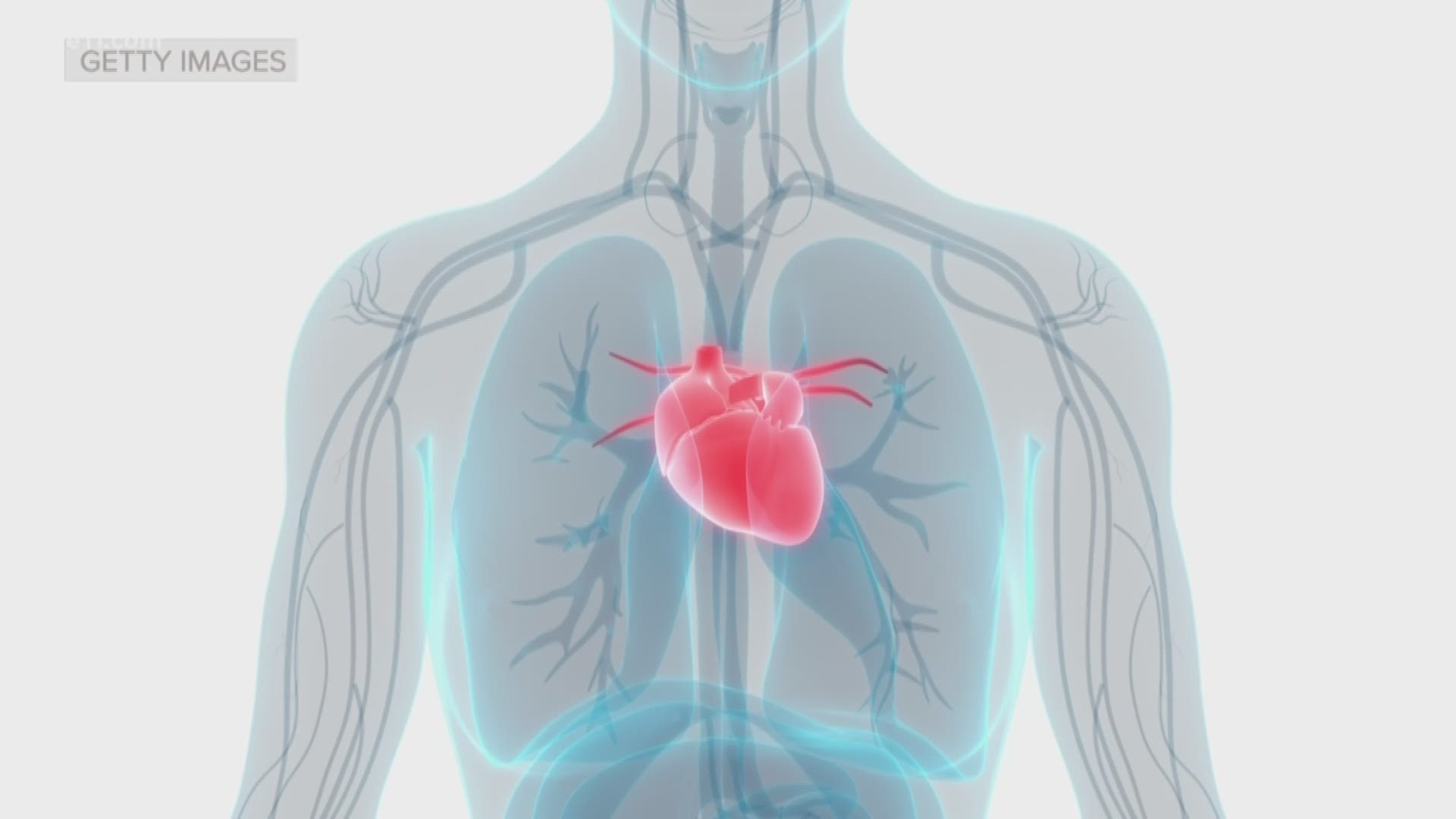 Did you know heart attack signs can differ between men and women? Regardless, there are steps you can take to keep your heart healthy. https://kare11.tv/2V7EbiP