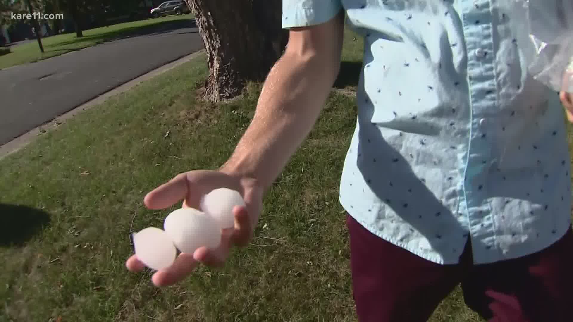 A storm left large hail behind damaging people's property. Boyd Huppert tells you what to look out for when someone offers to fix the damage.