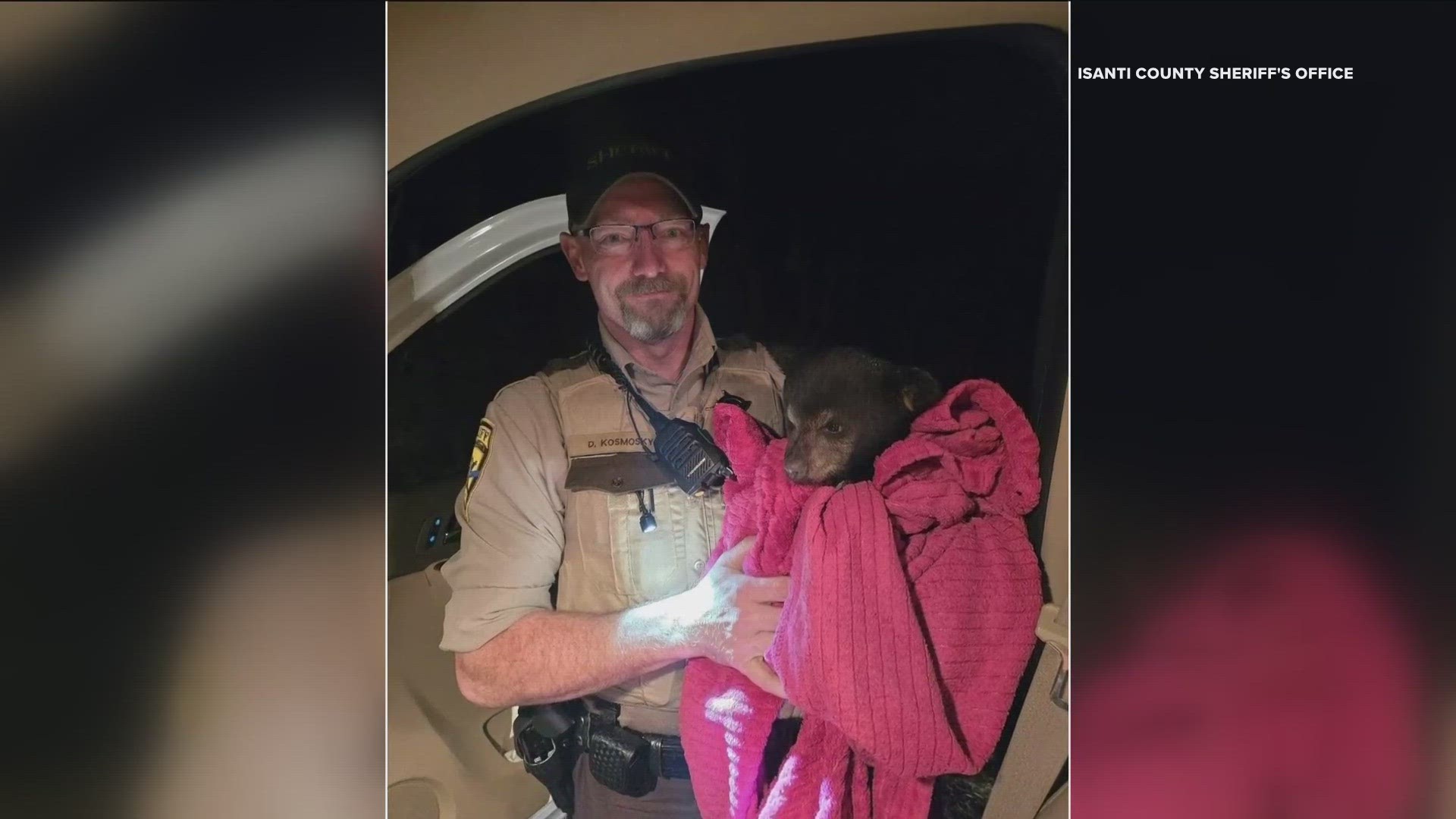 A good Samaritan spotted the little cub wandering on Highway 65, and a deputy relocated it to a wooded area where mama and a sibling were hanging out.