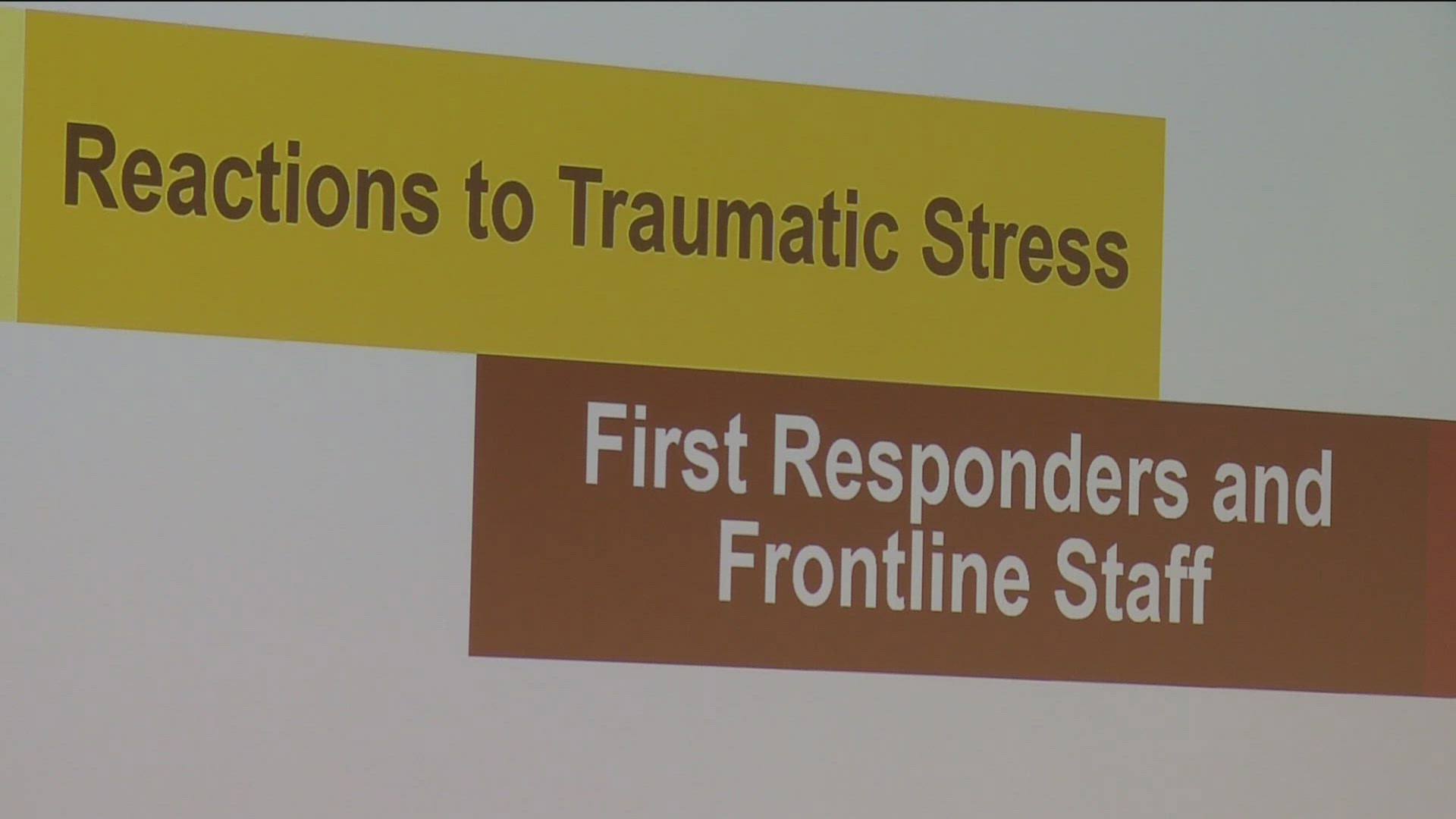 M Health Fairview's two-hour Psychological First Aid training session aimed to equip participants with the tools to support themselves and others in times of crisis.