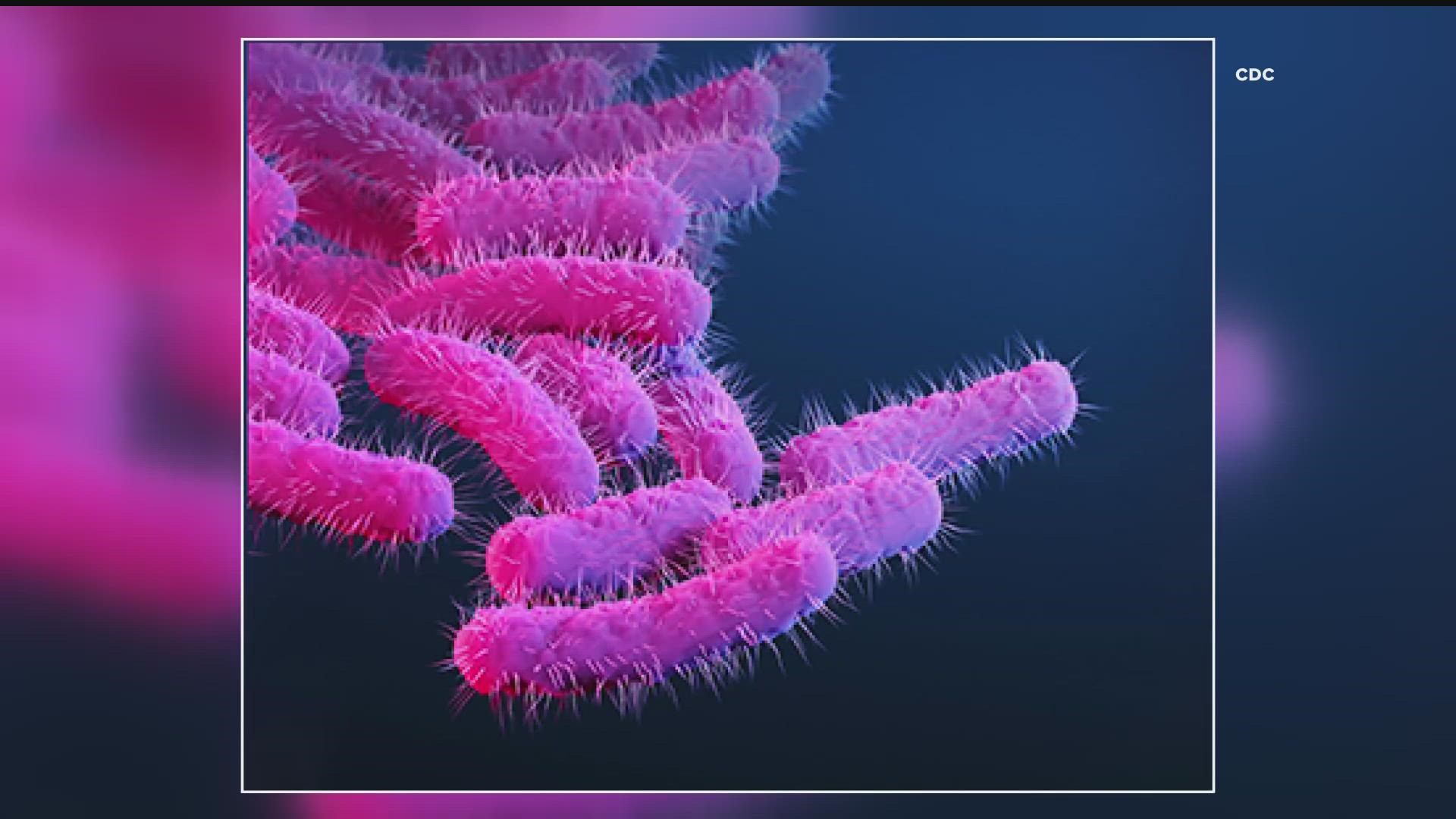 Shigella, which is highly infectious, spreads when infected fecal matter enters the mouth or the nose.