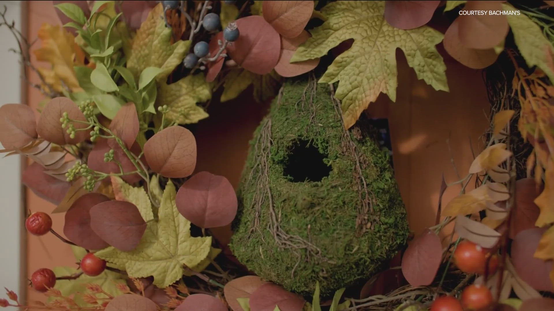 Celebrate the best of the autumn season at Bachman's Ideas House.
