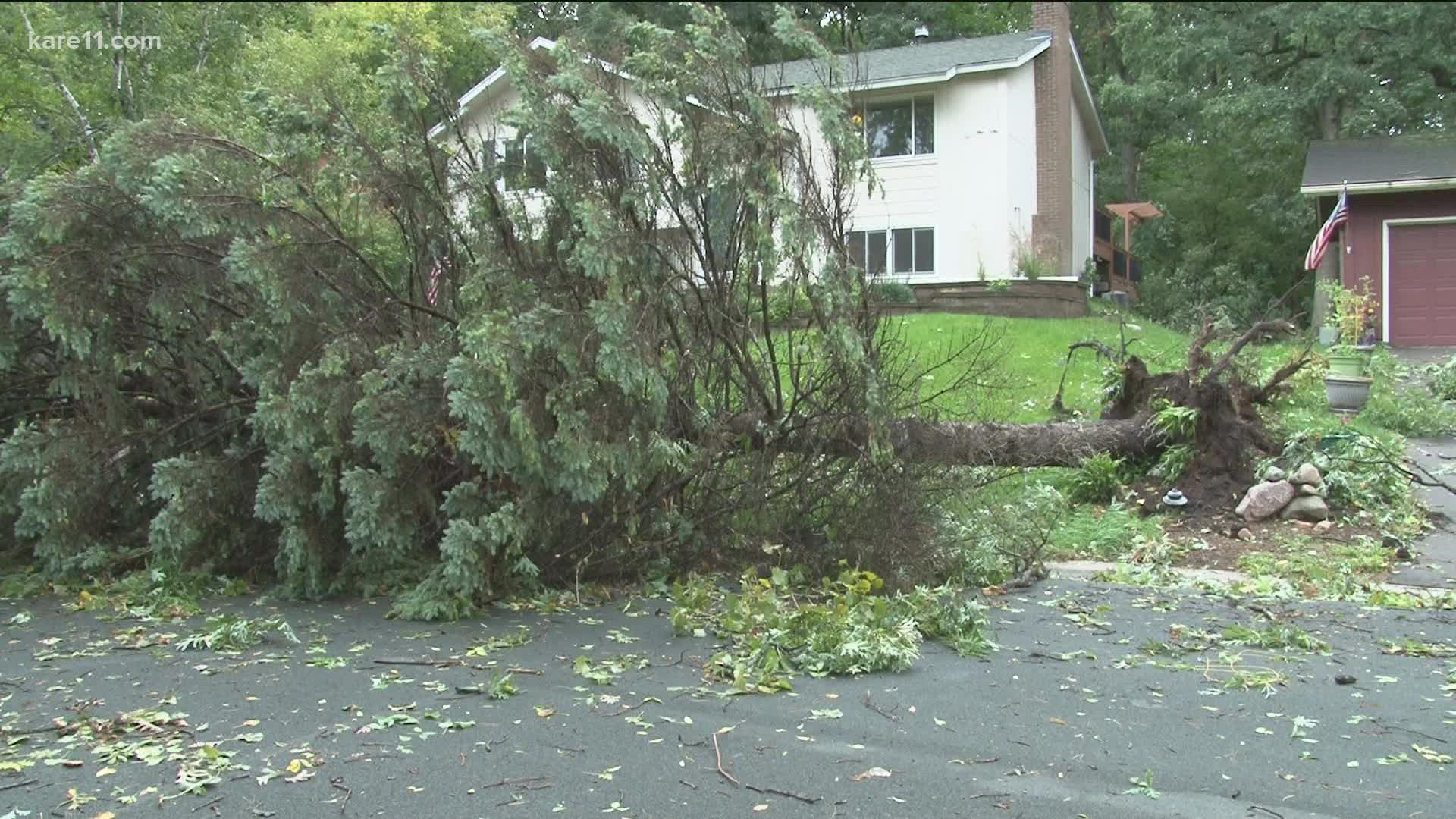 Early morning storm hit the metro, causing damage throughout the Twin Cities.