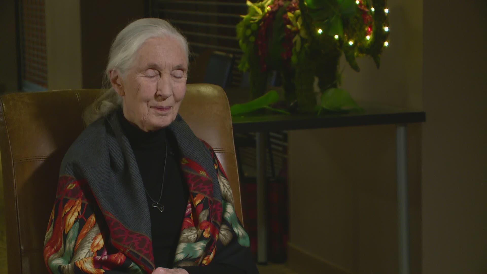 Sven sits down with legendary chimp researcher Dr. Jane Goodall.