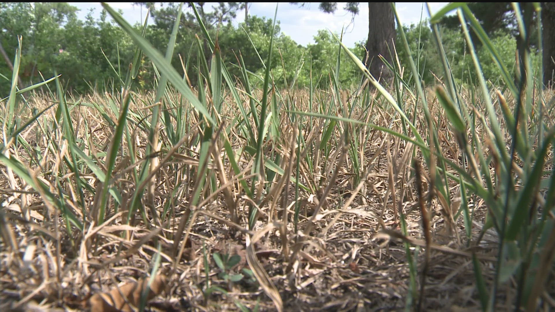 The entire state is experiencing at least some level of drought.