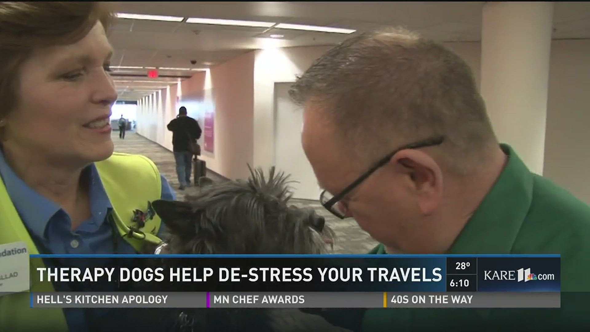 Therapy dogs help de-stress travelers