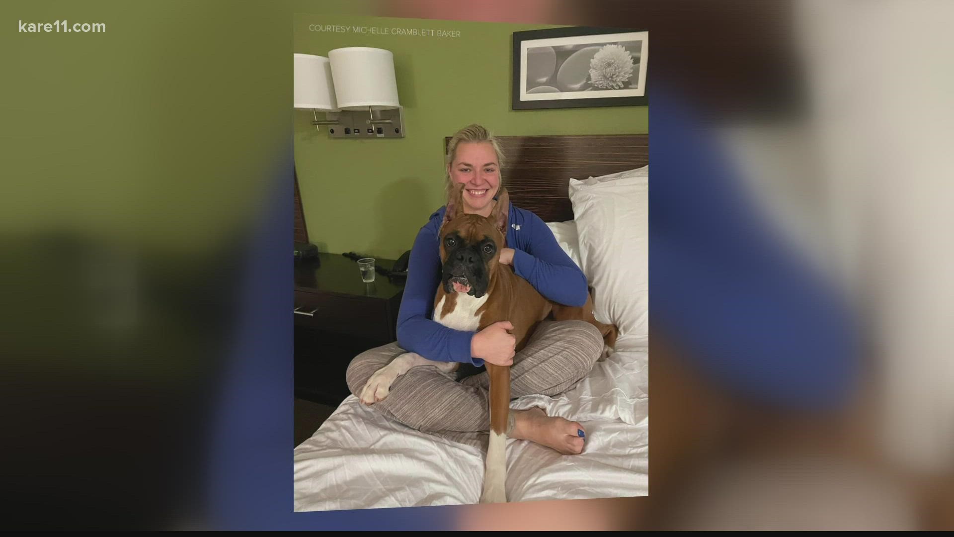 The dog and a minivan were stolen Saturday, and thanks to some good Samaritans, both were found Monday night.