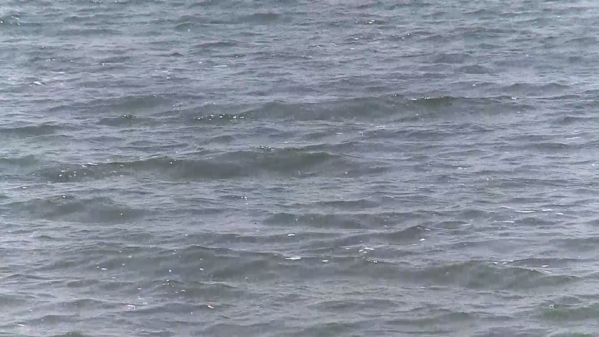 Dakota County beach closes for the year due to high levels of E. coli