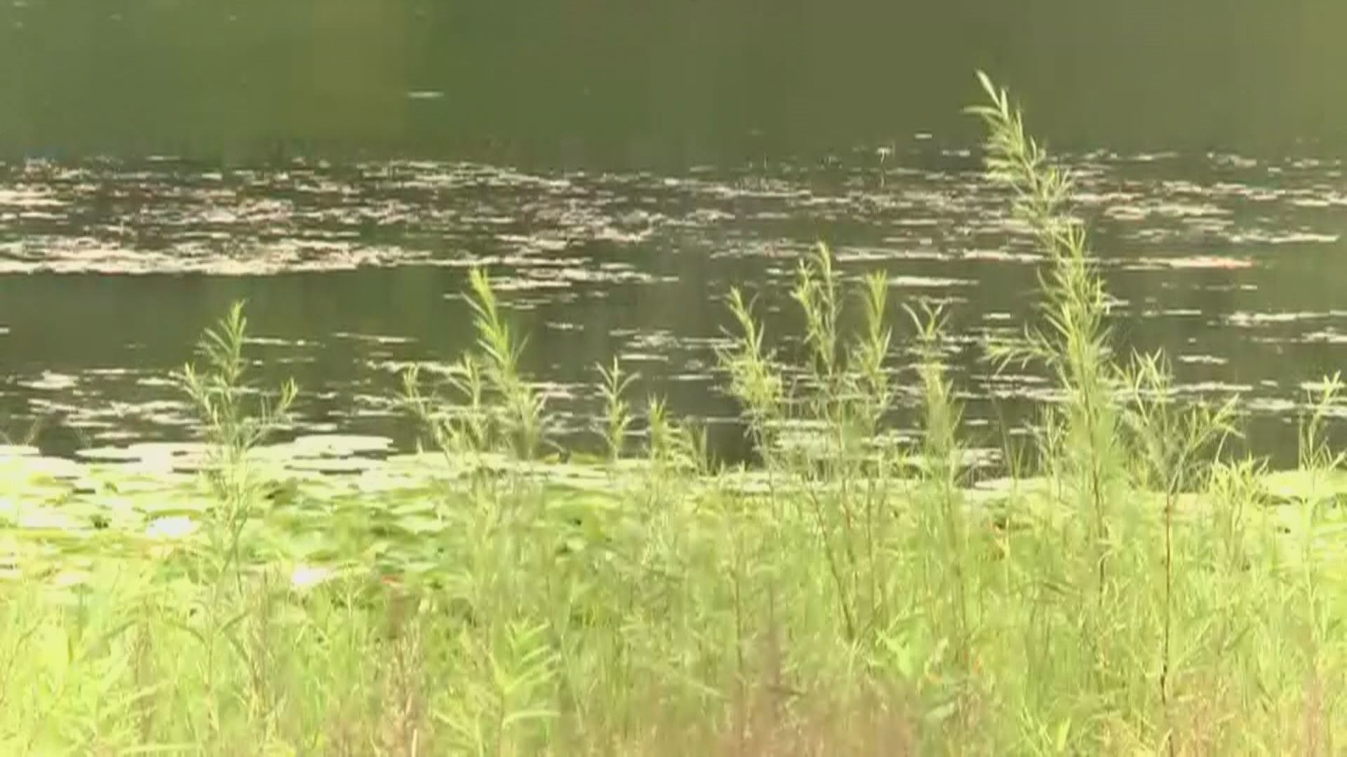 Construction company fined for polluting designated trout stream