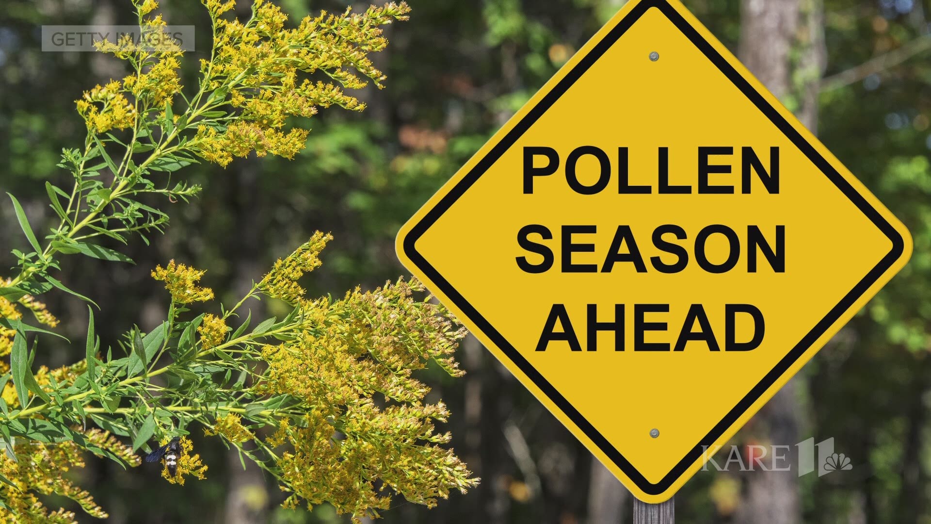With the return of pleasant weather comes the inevitable allergies. Here's what you can do to fight them off.