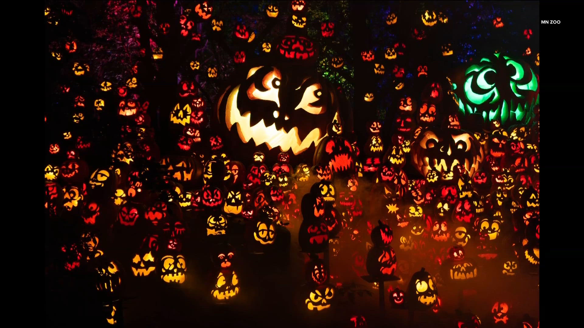 Jack-O-Lantern Spectacular returns to Minnesota Zoo