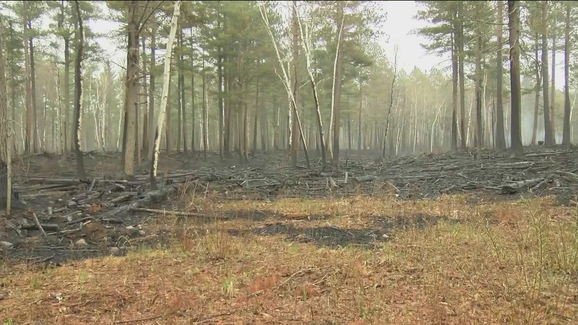 KARE 11 Meteorologist Jamie Kagol shows us what we can expect in Minnesota during the 2024 wildfire season.