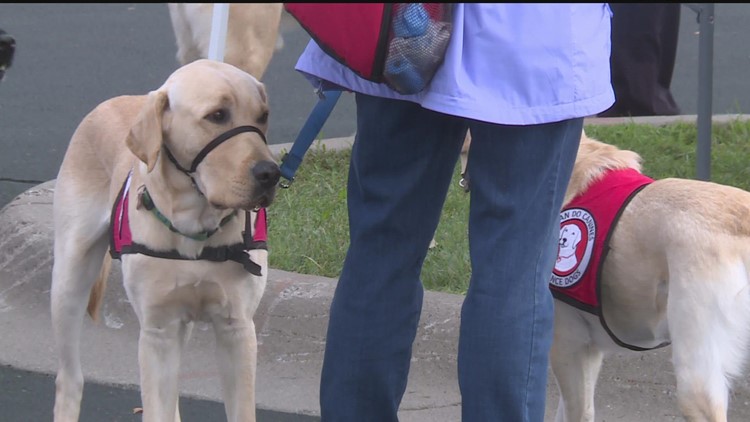 Can Do Canines hosts 'Woofaroo' festival and dog walk