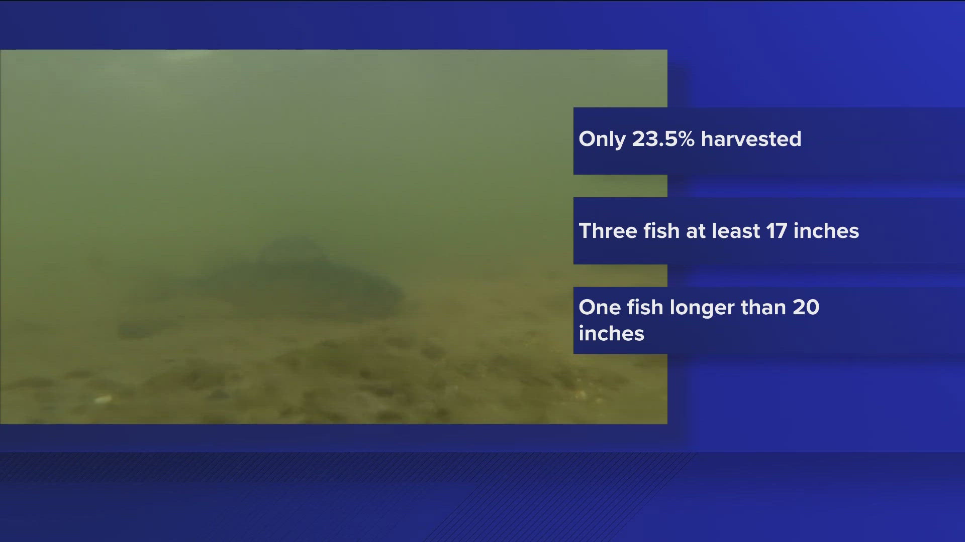 Anglers can keep three fish starting this Saturday through Nov. 30, but all have to be longer than 17 inches, with only one of the three longer than 20 inches. 
